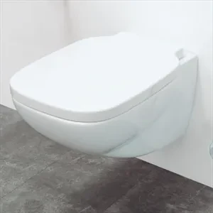 Flaminia Sprint Wc Sospeso Bianco Lucido Codice Prod: Sr118