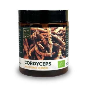 MYQO Cordyceps Sinensis Maczużnik Chiński BIO - 100g