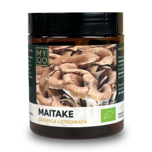 MYQO Maitake - Żagwica listkowata BIO Proszek - 100g