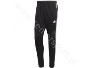 SPODNIE MĘSKIE ADIDAS TIRO19 TR PNT