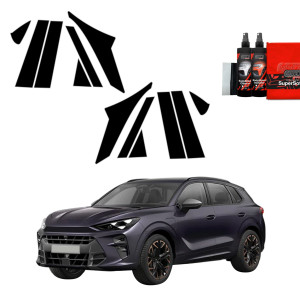 12w1 Czarna folia Grizz Protector na słupki do Cupra Terramar (2024-2026)