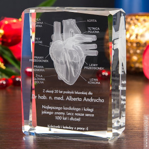Anatomia Serca 3D • prezent dla kardiologa • personalizacja GRATIS