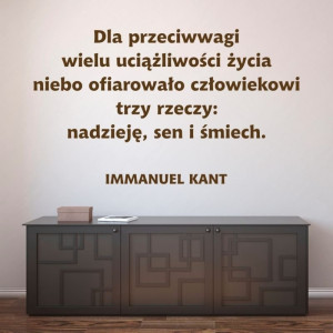Naklejka dla przeciwwagi 1964