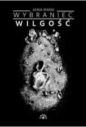 Wilgość