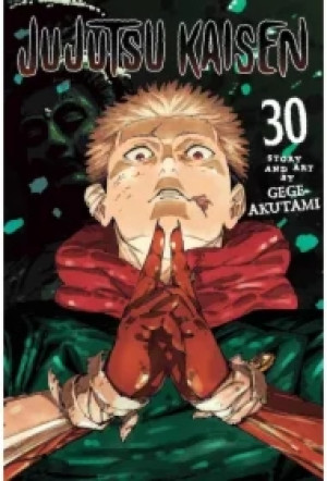 Jujutsu Kaisen. Vol. 30