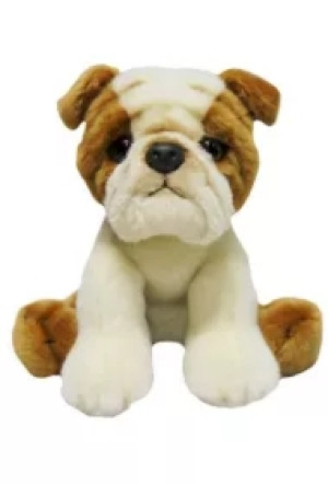 Pies bull dog 30cm