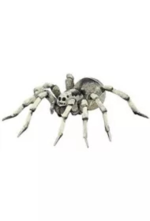 Tarantula