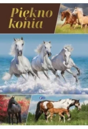 Piękno konia
