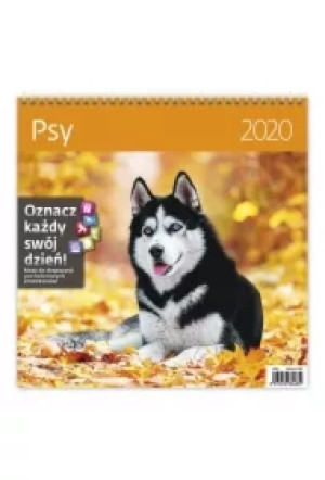 Kalendarz 2020 30x30cm Psy HELMA