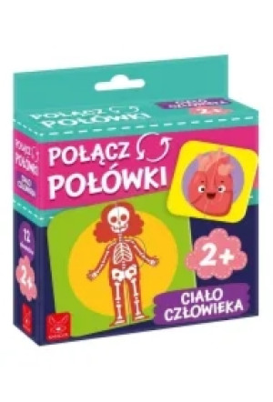 Połącz połówki. Ciało człowieka