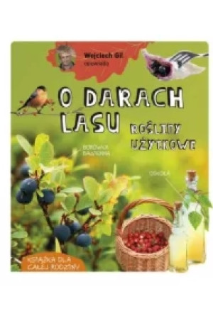 Wojciech Gil opowiada o darach lasu. Rośliny użytkowe