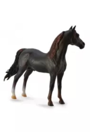 Ogier Morgan Stallion maści kasztanowej