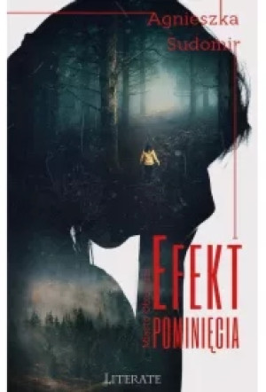 Efekt pominięcia