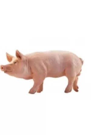 Knur