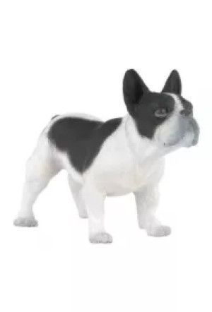 Buldog francuski
