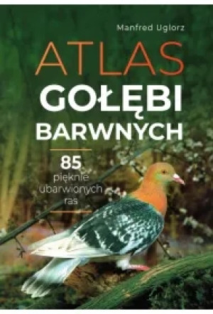 Atlas gołębi barwnych