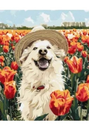 Malowanie po numerach - Szczęśliwy labrador
