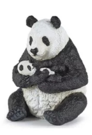 Panda z młodym siedząca