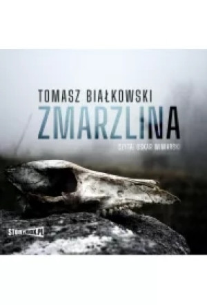 CD Mp3 Zmarzlina