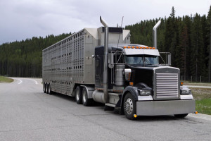 Fototapeta truck 3625