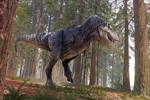 Fototapeta dinozaur 4322