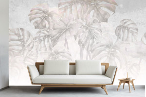 Fototapeta monstera, liście monstery 5563