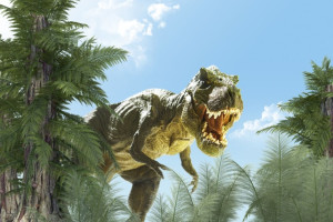 Fototapeta dinozaur 1185
