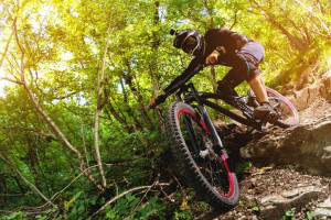 Fototapeta rower downhill 2543