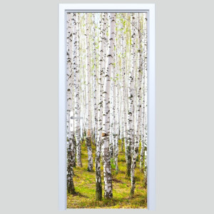 Fototapeta na drzwi las 550a