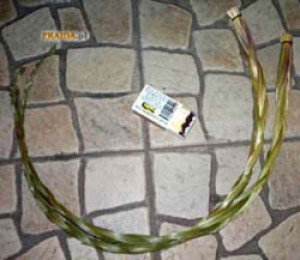 Sweet Grass - warkocz