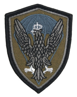Emblemat Wojska Polskiego Desant - polowy