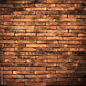Fotoboard na płycie Mur z cegły i zielona trawa