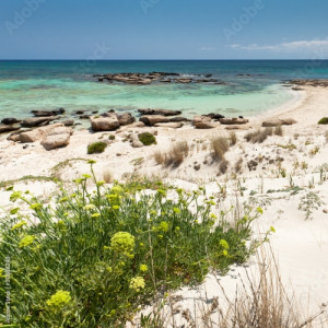 Obraz na płótnie canvas czteroczęściowy "tetraptyk" Plaża Elafonisi (Kreta, Grecja)