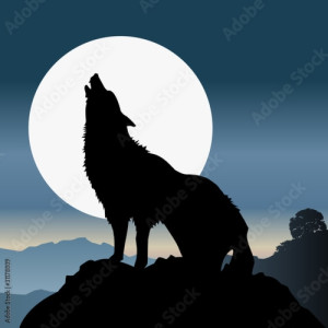 Obraz na płótnie canvas trzyczęściowy "tryptyk" Loup_1