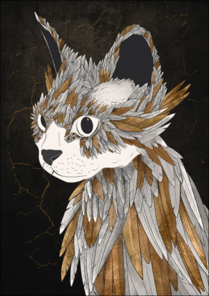 Feathered Cat - plakat Wymiar do wyboru: 61x91,5 cm