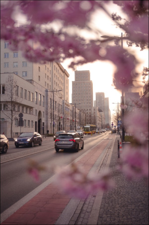 Kwitnąca Warszawa - plakat premium Wymiar do wyboru: 59,4x84,1 cm