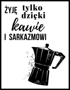 Sarkazm - plakat Wymiar do wyboru: 20x30 cm