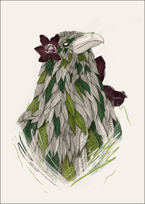 Feathered Raven - plakat Wymiar do wyboru: 60x80 cm