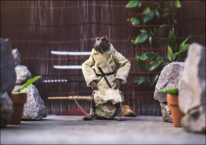 Splinter, Wojownicze Żółwie Ninja - plakat Wymiar do wyboru: 42x29,7 cm