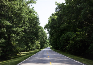 Natchez Trace parkway in Florence, Alabama, Carol Highsmith - plakat Wymiar do wyboru: 60x40 cm