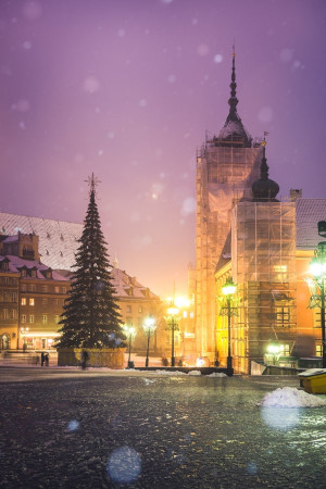 Warszawa Zamek - plakat premium Wymiar do wyboru: 30x40 cm