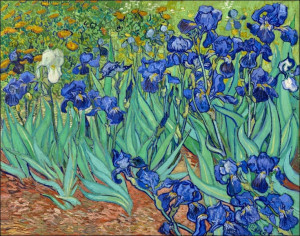 Irysy, Vincent Van Gogh - plakat Wymiar do wyboru: 100x70 cm