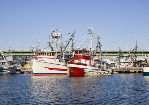 Boats at the docks in Seattle, Washington, Carol Highsmith - plakat Wymiar do wyboru: 60x40 cm
