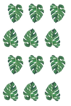 Monstera liście - plakat Wymiar do wyboru: 42x59,4 cm