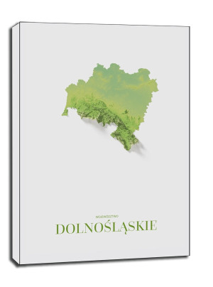 Dolny Śląsk mapa kolorowa - obraz na płótnie Wymiar do wyboru: 40x60 cm