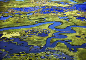 Marshlands on the New Jersey Shore near Little Egg Harbor, New Jersey., Carol Highsmith - plakat Wymiar do wyboru: 70x50 cm