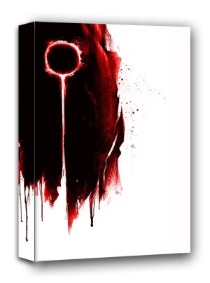 Dark Souls, The Dark Sign - obraz na płótnie Wymiar do wyboru: 40x50 cm