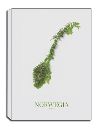 Norwegia, mapa - obraz na płótnie Wymiar do wyboru: 90x120 cm