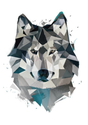 Wilk - plakat Wymiar do wyboru: 60x80 cm