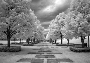 Lincoln memorial park in Washington D.C., Carol Highsmith - plakat Wymiar do wyboru: 91,5x61 cm